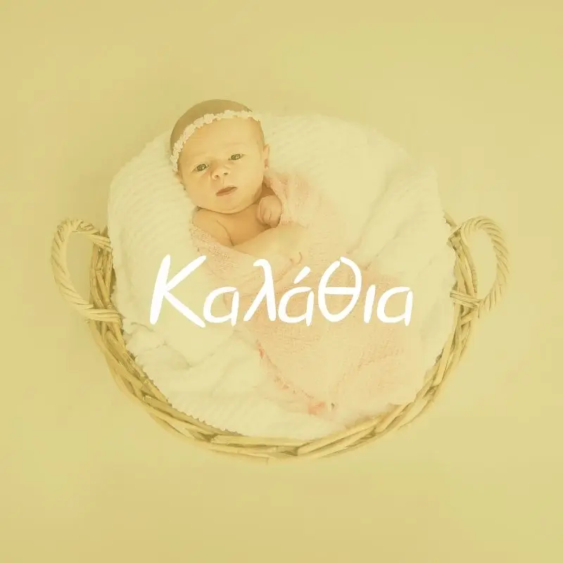 Καλάθια - Pupaland.gr